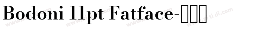 Bodoni 11pt Fatface字体转换